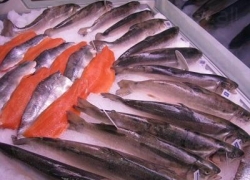 Консумацията на риба и рибни продукти е полезна за здравето на човека
